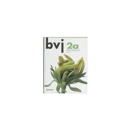 Afbeelding van BVJ 6e dr : 2 vmbo-kgt A : Handboek