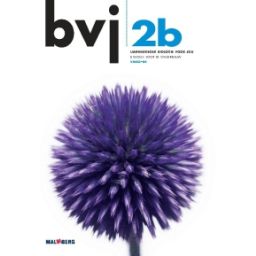 Afbeelding van BVJ 6e dr : 2 vmbo-bk B : Leerwerkboek