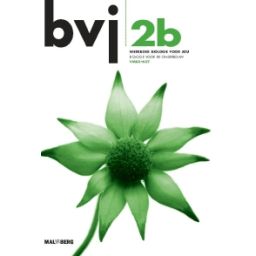 Afbeelding van BVJ 6e dr : 2 vmbo-kgt B : Werkboek