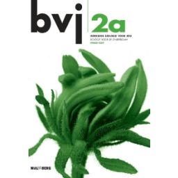 Afbeelding van BVJ 6e dr : 2 vmbo-kgt A : Werkboek