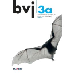 Afbeelding van BVJ 6e dr : 3 vmbo-bk A : Leerwerkboek