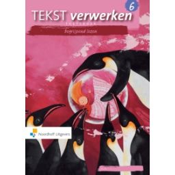 Afbeelding van Tekst verwerken Begrijpend lezen 2e ed : Groep 6 : Toetsboek