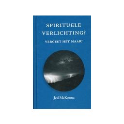 Afbeelding van Spirituele verlichting? Vergeet het maar!