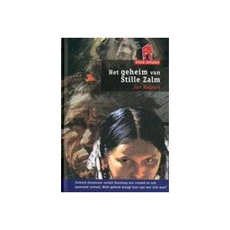 Afbeelding van Het geheim van Stille Zalm (Villa Alfabet : Rood 5)