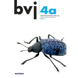 Afbeelding van BVJ 6e dr : 4 vmbo-bk A : Leerwerkboek
