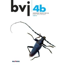 Afbeelding van BVJ 6e dr : 4 vmbo-bk B : Leerwerkboek