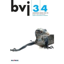 Afbeelding van BVJ 6e dr : 3+4 vmbo-bk : Examenkatern