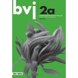 Afbeelding van BVJ 6e dr : 2 vmbo-kgt A : Antwoordenboek