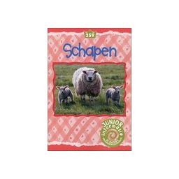 Afbeelding van Schapen (Junior informatie)