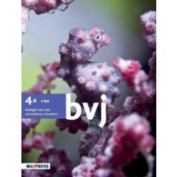 Afbeelding van BVJ 5e dr : 4 vwo a : Leeropdrachtenboek