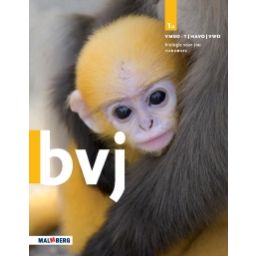 Afbeelding van BVJ 7e ed : 1 vmbo-t/havo/vwo A : Handboek