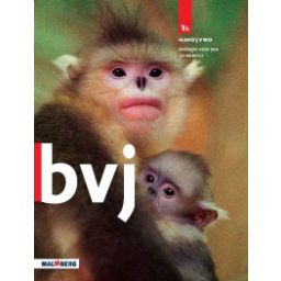 Afbeelding van BVJ 7e ed : 1 havo/vwo B : Handboek