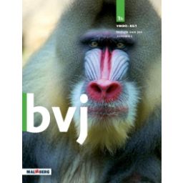 Afbeelding van BVJ 7e ed : 1 vmbo-kgt B : Handboek