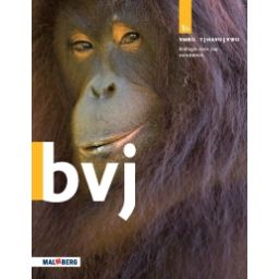 Afbeelding van BVJ 7e ed : 1 vmbo-t/havo/vwo B : Handboek