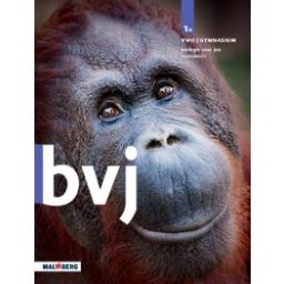 Afbeelding van BVJ 7e ed : 1 vwo/gymnasium A : Handboek