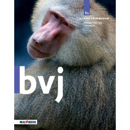Afbeelding van BVJ 7e ed : 1 vwo/gymnasium B : Handboek
