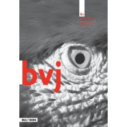 Afbeelding van BVJ 7e ed : 2 havo/vwo A : Werkboek
