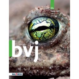 Afbeelding van BVJ 7e ed : 2 vmbo-kgt A : Handboek