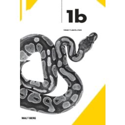 Afbeelding van BVJ 6e dr : 1 vmbo-t/havo/vwo B : Antwoordenboek