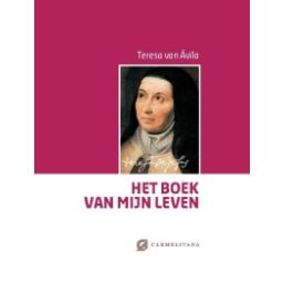 Afbeelding van Het boek van mijn leven