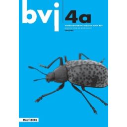 Afbeelding van BVJ 6e dr : 4 vmbo-bk A : Antwoordenboek