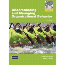 Afbeelding van Understanding and managing organizational behavior