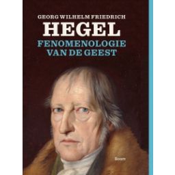 Afbeelding van Fenomenologie van de geest