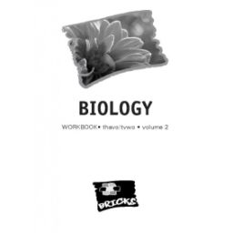 Afbeelding van Bricks Biology : havo/vwo Vol. 2 : Workbook