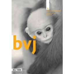 Afbeelding van BVJ 7e ed : 1 vmbo-t/havo/vwo AB : Werkboek