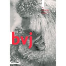Afbeelding van BVJ 7e ed : 1 havo/vwo AB : Werkboek