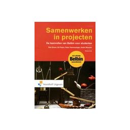 Afbeelding van Samenwerken in projecten