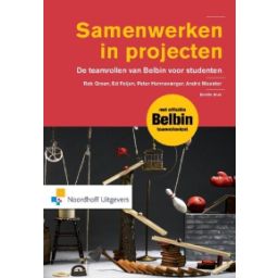 Afbeelding van Samenwerken in projecten