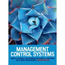 Afbeelding van Management control systems