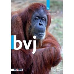 Afbeelding van BVJ 7e ed : 1 vmbo-bk B : Leerwerkboek