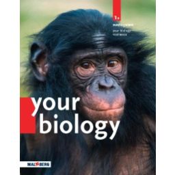 Afbeelding van BVJ Your Biology : 1 havo/vwo A : Textbook