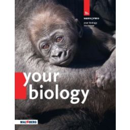 Afbeelding van BVJ Your Biology : 1 havo/vwo B : Textbook