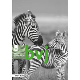 Afbeelding van BVJ 7e ed : 3 vmbo-gt B : Werkboek