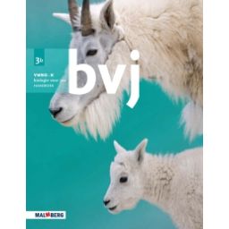 Afbeelding van BVJ 7e ed : 3 vmbo-k B : Handboek