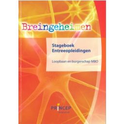 Afbeelding van Breingeheimen : mbo : Werkboek