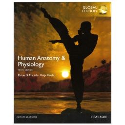 Afbeelding van Human anatomy & physiology