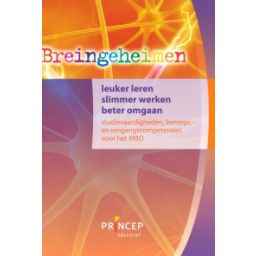 Afbeelding van Breingeheimen : mbo 3/4 : Studievaardigheden