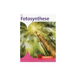 Afbeelding van Fotosynthese (Informatie)