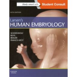 Afbeelding van Larsen's human embryology 5th ed