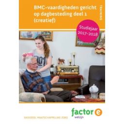 Afbeelding van Factor-E Welzijn : BMC vaardigheden gericht op dagbesteding 1 (creatief)