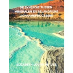 Afbeelding van De synergie tussen mineralen en belangrijke lichaamsprocessen