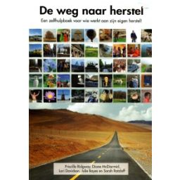 Afbeelding van De weg naar herstel