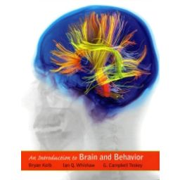 Afbeelding van An introduction to brain and behavior 5th ed