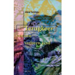 Afbeelding van Terugkeer van een verloren kind