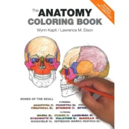 Afbeelding van The anatomy coloring book
