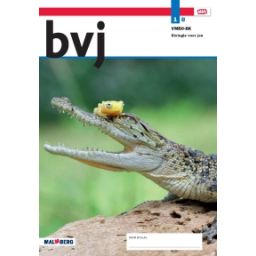 Afbeelding van BVJ - MAX - : 1 vmbo-bk B : Leerwerkboek